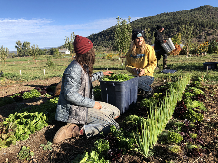 Anna Weller (left) and Two Roots owner Harper Kaufman.