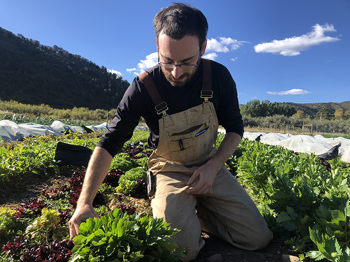 Bennett Silverman will start his own farm in Washington next season.