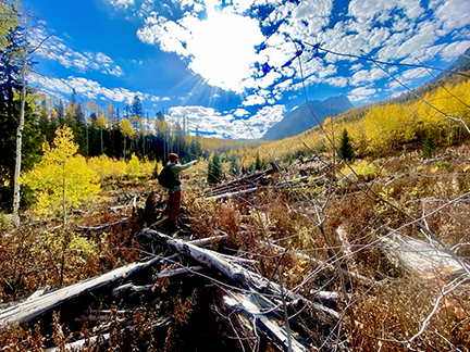 Autumn colors, trees and sky, on 240 acres of donated open space near Marble.